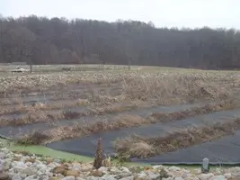 Adamsville Constructed Wetlands WWTP - Operated by Muskingum County