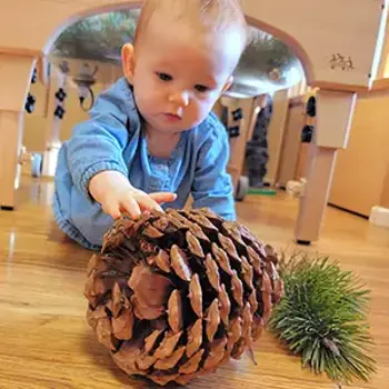Infant Toddler Care